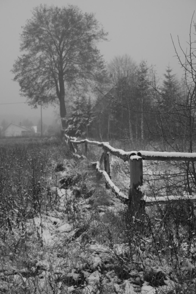 img_5a.jpg