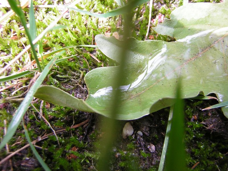 dscn0192.jpg
