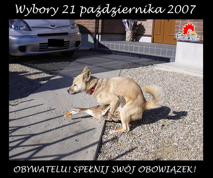 wydymaj.jpg