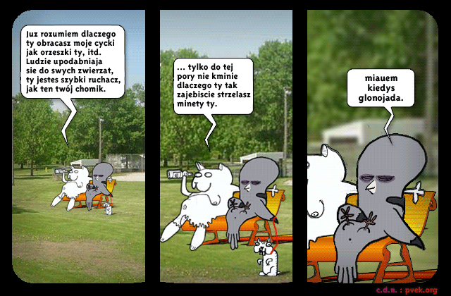 pvekstory378.gif