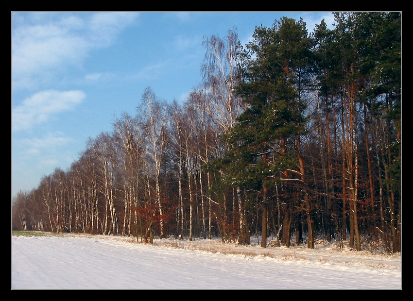 img_3190cs.jpg