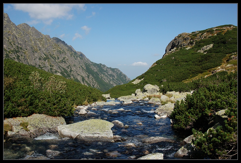 dsc_0867cs.jpg