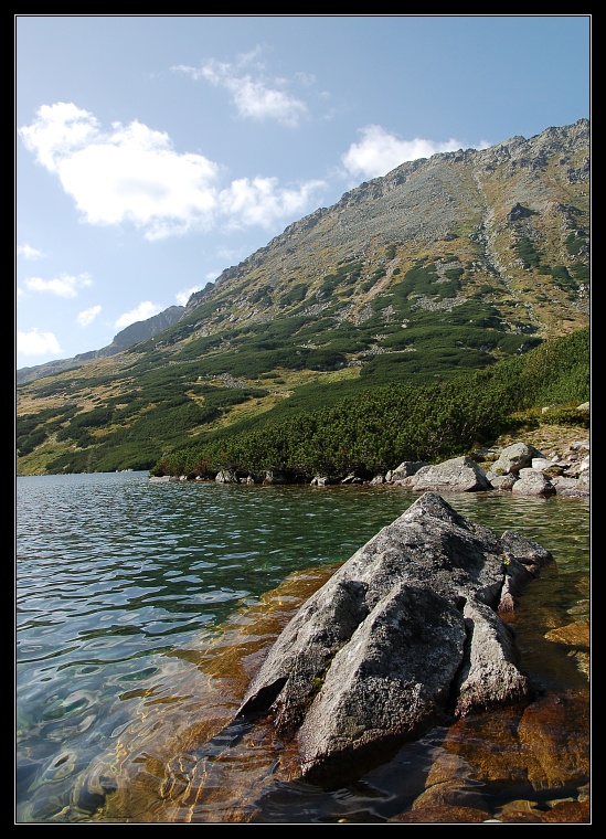 dsc_0880rs.jpg