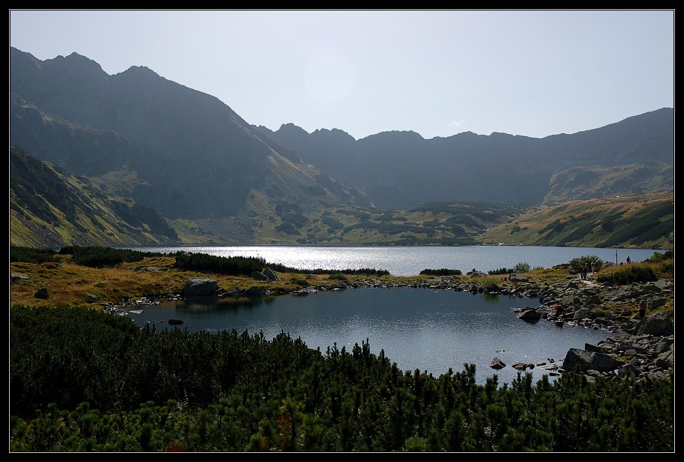 dsc_0887cs.jpg