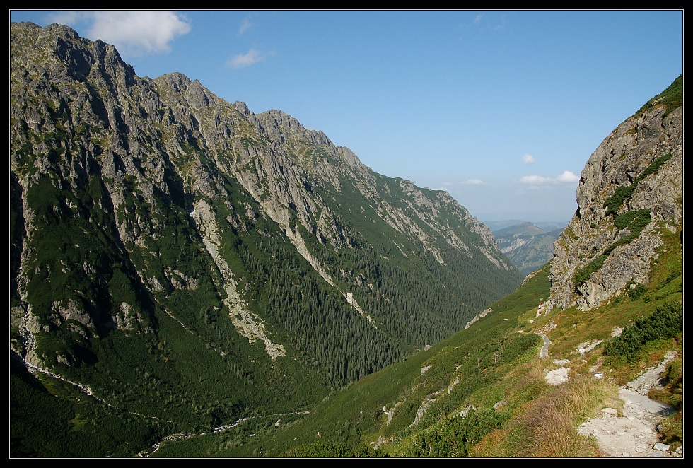dsc_0900cs.jpg