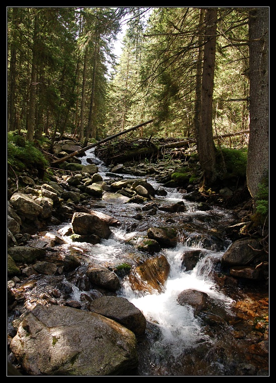dsc_0823rs.jpg