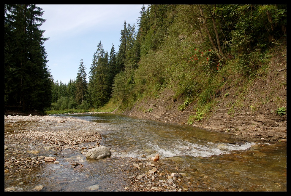 dsc_0465cs.jpg