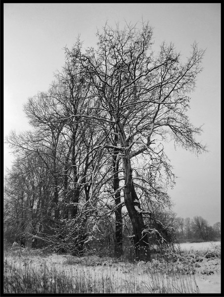dscf1198bw_resize.jpg