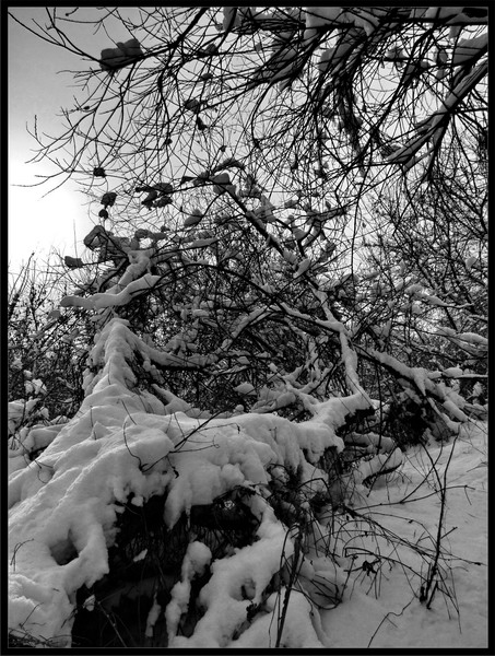 dscf1277bw_resize.jpg