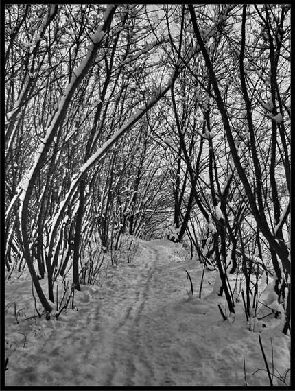 dscf1317bw_resize.jpg