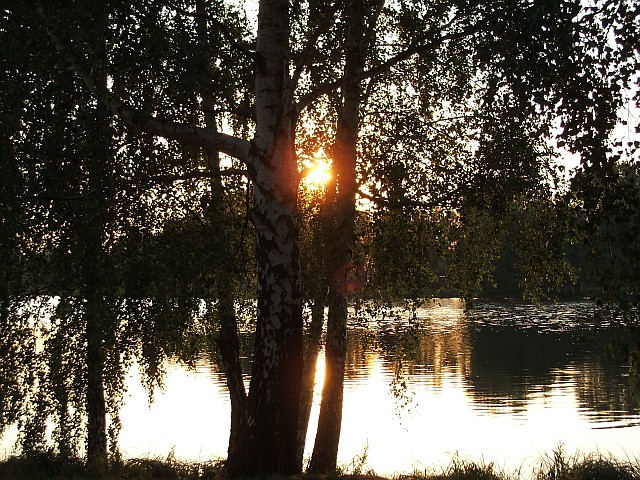 dscf0386.jpg