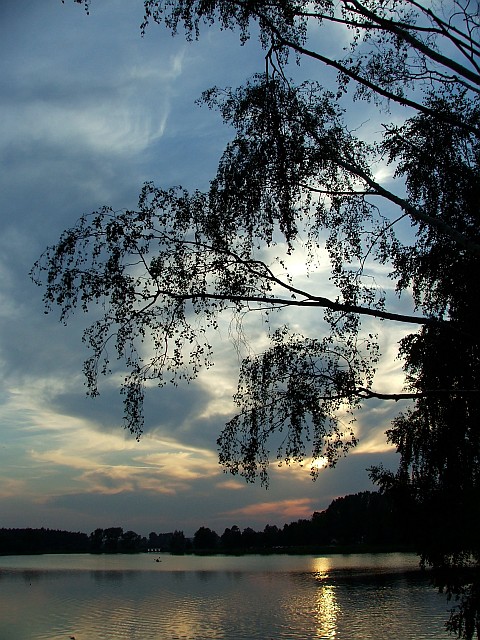 dscf0542.jpg