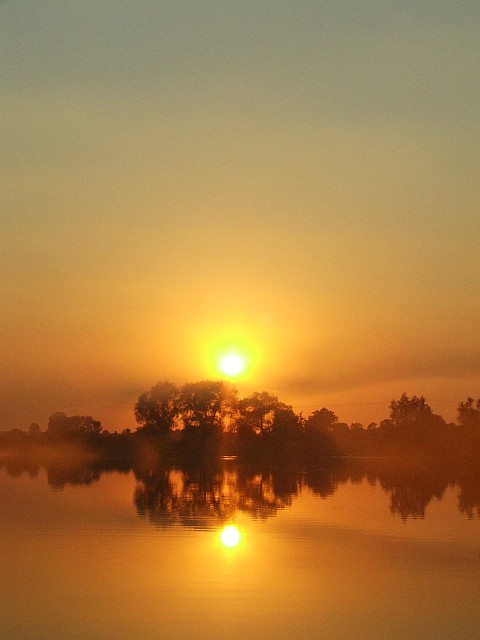 dscf1226.jpg