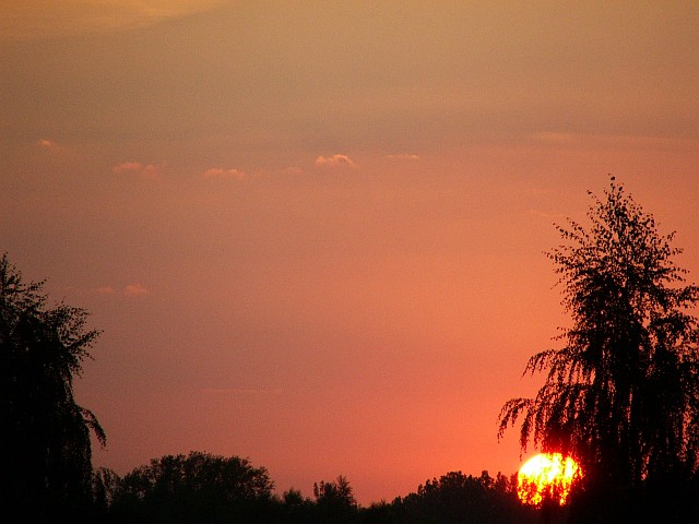 dscf1290.jpg
