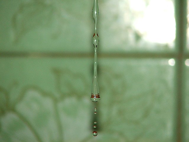 7_dscf2219.jpg
