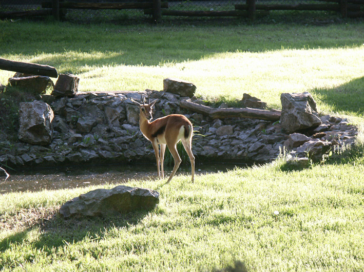 pict2713.jpg